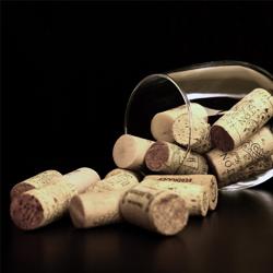 Pincérbicska - fóliavágóval - sörnyitóval - műanyag nyéllel - Hossz: 20 mm - fekete