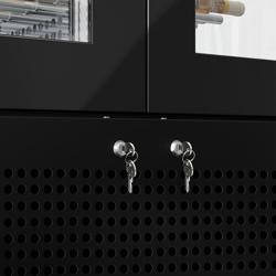 Vinoteca - Libre instalación - Monotemperatura - 104 botellas - 450L - Acero pintado - Negro - Profesional