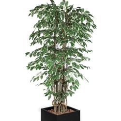 Árbol artificial "Ficus Starlight" - 210cm - con maceta