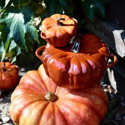 STAUB | CERAMIQUE - Cocotte - Forma di zucca - Ø 120mm - Ceramica - Cannella