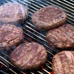 Frikadellen-/ Hamburgerpresse - Kunststoff - klein - Ø 80mm - 15 Löcher - 85 Gramm