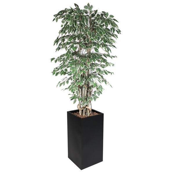 Kunstplant "ficus starlight" - 210cm - met pot