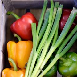 Ladeblok PREMIUM - 2 laden - Onderbouwmodule 400x560mm - voor ATK 600mm diep