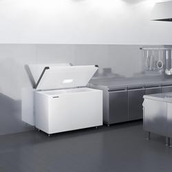 LIEBHERR commercial chest freezer - 1005 x 720 mm - 266 litres - plastic lid