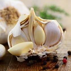 Prensa de ajo con descorazonadora