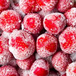 Schockfroster - Touch - 640 Liter - 20x GN 1/1 oder EN 600x400