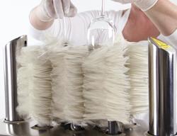 Professional Glass Polisher & Dryer – 8 rotating rollers - 480–720 glasses/h - hot-air drying - 2.62 kW