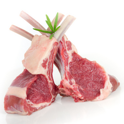 Sierra para carne y huesos - Cinta de sierra de 1660 mm