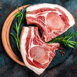 Bensåg - 1660 mm sågband