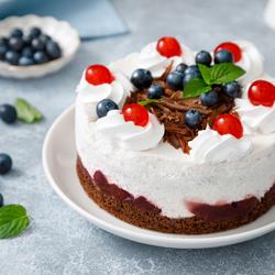 Σακούλες Κορνέ / Σαντιγί - Μέγεθος 5