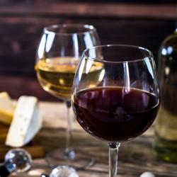 Cave para vinhos - Vidro - 1 zona de temperatura - 400 litros - até 81 garrafas