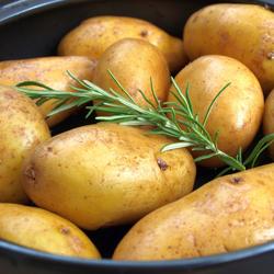 Snelkookpan - Rvs - 18/10 - 23 liter - Ø32cm - hoogte: 300mm - met deksel - geschikt voor alle warmtebronnen, inclusief inductie