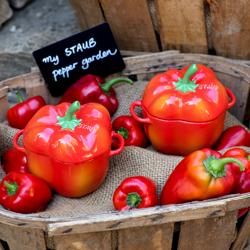 STAUB | CERAMIQUE - Cocotte - formă Paprika - Ø 110mm - ceramică - portocaliu-roșu