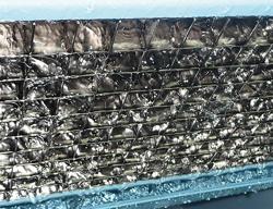 Fabbricatore di cubetti di ghiaccio - cubetti - 403 kg/24 h - incl. contenitore per ghiaccio