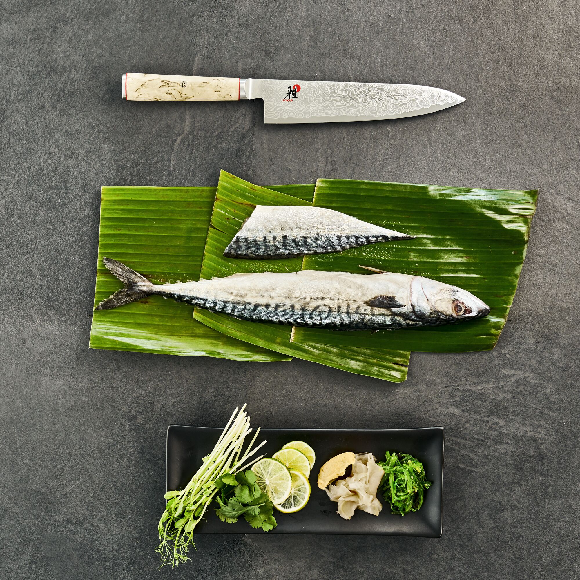 MIYABI | 5000 MCD - Gyutou - Lame: 240 mm