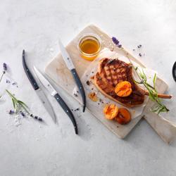 (4 pieces) ZWILLING | Steak Knife Set – Straight Edge - Blue Micarta Handle - ABS Plastic Blade