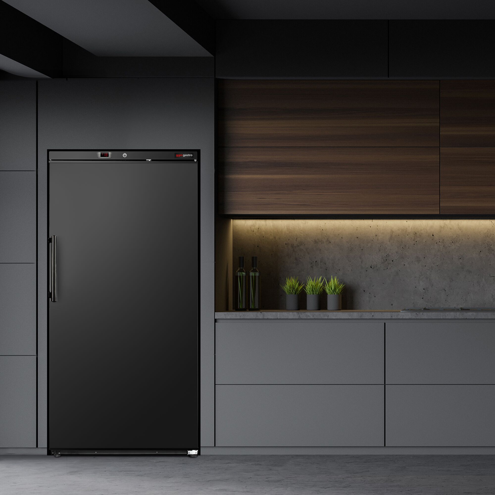 Congélateur de stockage ECO – 600 litres – avec 1 porte – intérieur de la porte en plastique – Noir
