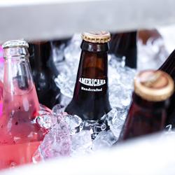 Commercial Top Loading Bottle Cooler - Stainless steel - 305L