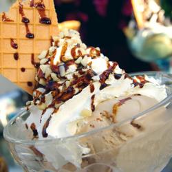 Máquina de chantilly Profissional - 5L - 100L/h - 400W - 230V