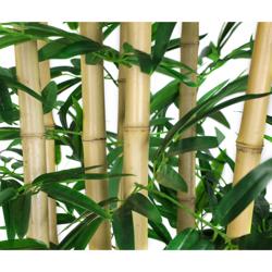 Bambou artificiel "Bambus" - 210cm - avec pot