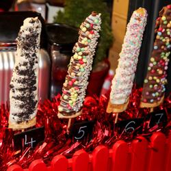 Waffle Makinesi için Pişirme Plakası WEERM2 - Şekil: Çubuk Waffle