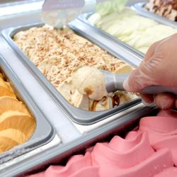 Ice Cream Dipper Scoop – Ø 59 mm - 62 ml - Aluminium - Heat-Conductive Handle