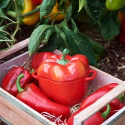 STAUB | CERAMIQUE - Kookpot - Paprikavorm - Ø 110mm - Keramiek - Oranje-Rood