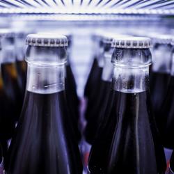 Figorífico para armazenamento de garrafas - 400 litros - 1 porta em vidro