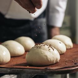 Bakkerij rijskast PREMIUM - 20x EN 600x400 - voor fermentatie