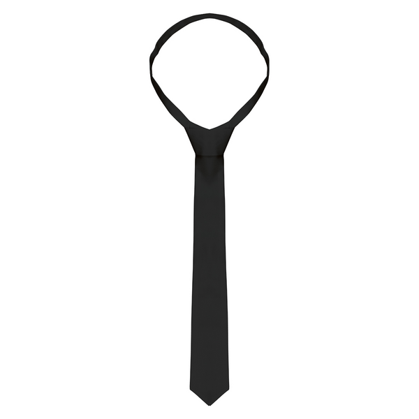 (5 piezas) corbata - 148 x 6,5 cm - negro