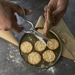 ZWILLING | Multi-Purpose Kitchen Scissors – 200 mm - Stainless Steel - Bottle & Lid Opener