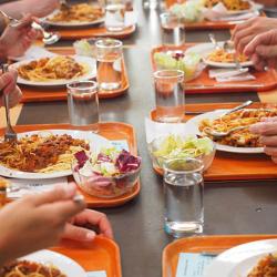 Canteen Polypropylene tray – Gastronorm GN 1/1 – Non-slip – Stackable – Brown – 326×531×22 mm