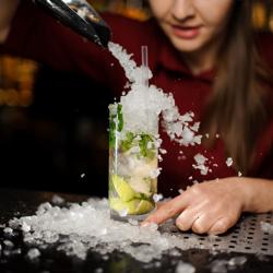 Profesionalna drobilica za led - 5 kg/min - 140 W - uklj. spremnik 5 kg - nehrđajući čelik