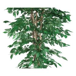 Műnövény „Ficus” - 210 cm - kaspóval - élethű levelekkel