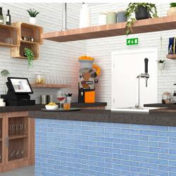 Elektrikli portakal sıkacağı - otomatik meyve beslemeli - gümüş