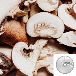 Δίσκος κοπής για ηλεκτρικό κοπτήρα λαχανικών GEA4 & GEA4K - 1 λεπίδα - Ø 174 mm - Μήκος: 10 mm - συμβατό με GEA4 & GEA4K - ανοξείδωτες λεπίδες AISI 304