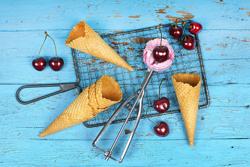 Ice Cream Scoop Portioner – Ø65 mm - 100 ml portion - Stainless Steel - Dishwasher Safe