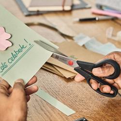 ZWILLING | TWIN L - Ножиці побутові - 190 мм - Нержавіюча сталь