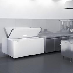 LIEBHERR commercial chest freezer - 1885 x 720 mm - 542 litres - plastic lid