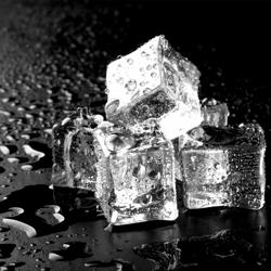 Zbiornik do kostkarek ze stali nierdzewnej - 250kg - 762x1016x1865mm - z wózkiem na lód - do kostkarek EWI212VHN, EWI403VHN, EWMI335, FEI220, FEI220N