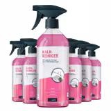 (6 pezzi) Detergente anticalcare, 750 ml ciascuno - Ecologico