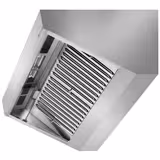 Wandafzuigkap RVS - 900mm diep - 1000mm - zonder motor - met 2 labyrintfilters en verlichting