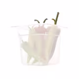 Polypropylene Gastronorm Container GN 1/6 – Translucent – Height: 65 mm