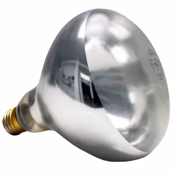 (6 pieces) infrared lamp / replacement bulb - E27 - 250 Watt - Ø 125mm - suitable for 12265