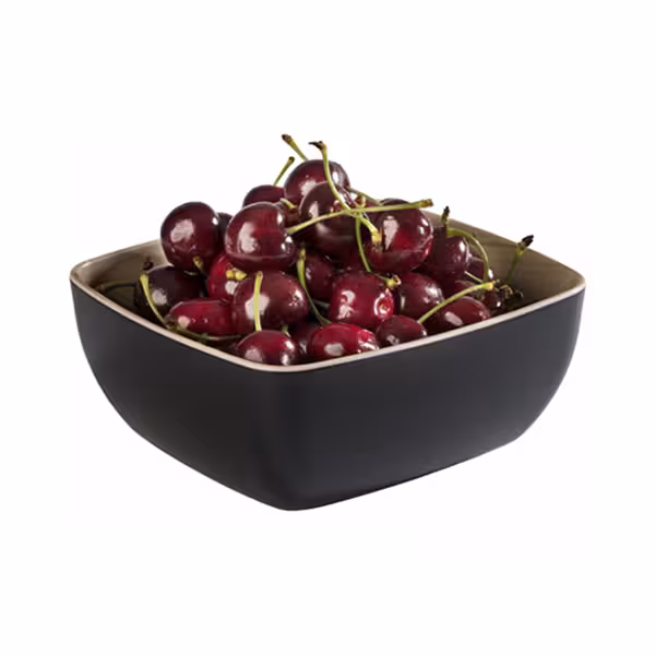 (6 pieces) FRIDA | Melamine Gastronorm GN 1/6 Buffet Bowl – Black - 1 Litre - 75 mm Deep