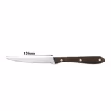 Steak knife - 120mm - Mirror