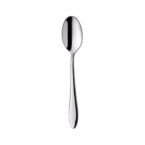 (12 pcs) Dessert spoon Leandro - 18/10 stainless steel - 160mm - Mirror