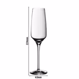 (6 pezzi) WMF | DIVINE - Calice da champagne - 188 ml - con linea di riempimento