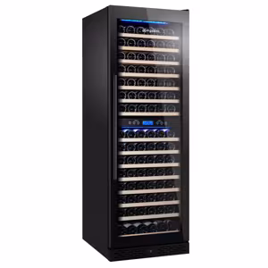 Wijnkoelkast - 2 klimaatzones - 450 liter - max. 160 flessen
