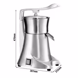 Commercial Electric Fruit Juicer - 230 watt